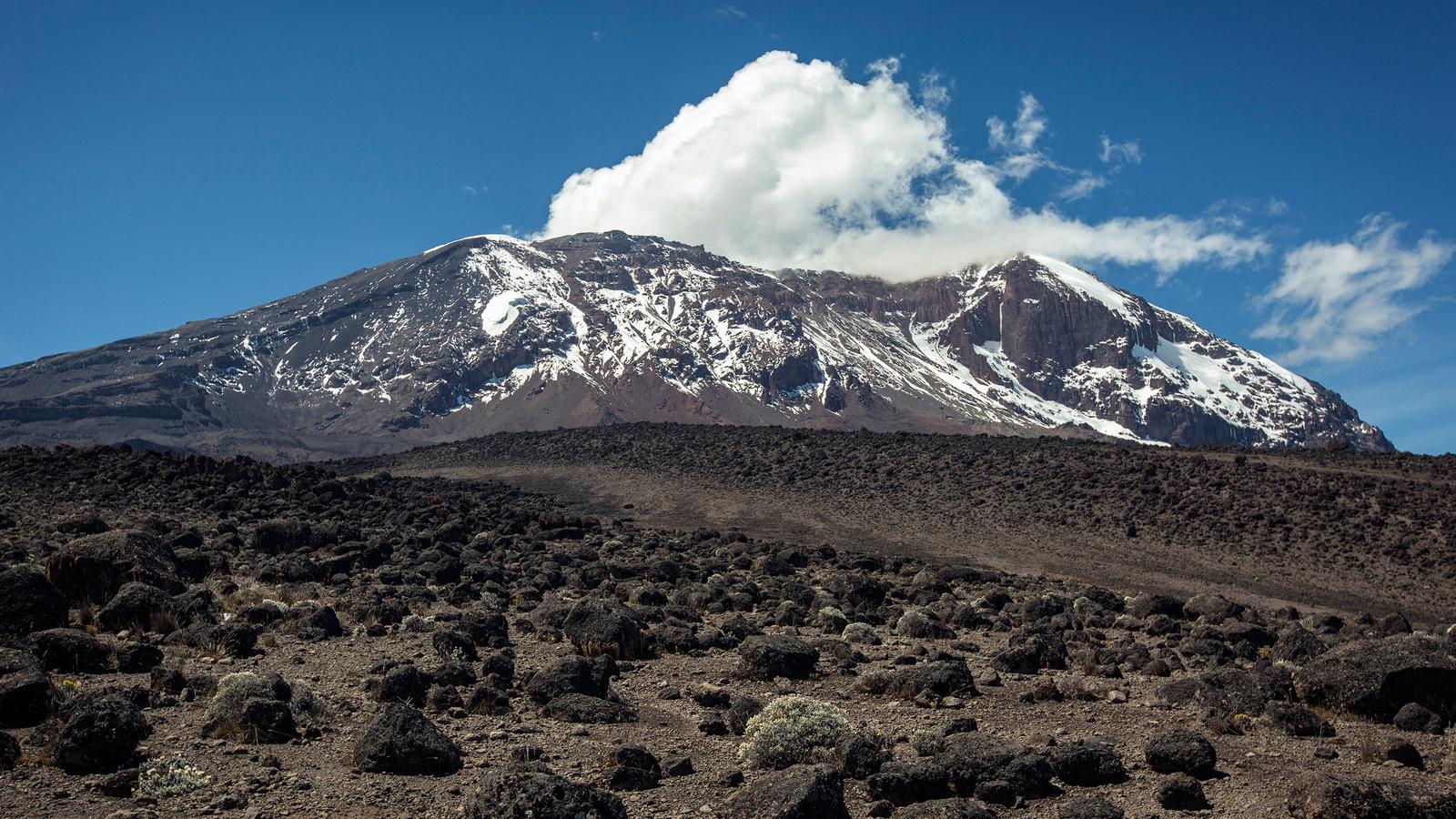 7 Days Kilimanjaro Trekking Lemosho Route_image