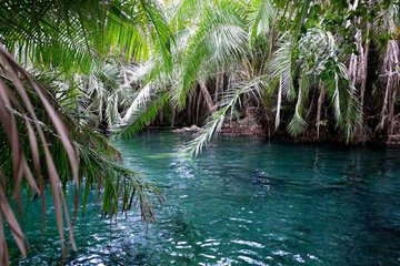 Day Trip to Kikuletwa Hotspring (Majimoto) - Boma Ng`ombe_image