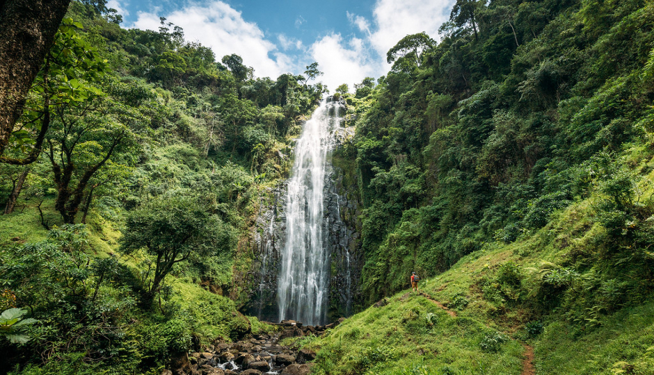 Materuni Waterfalls with Coffee tour_image